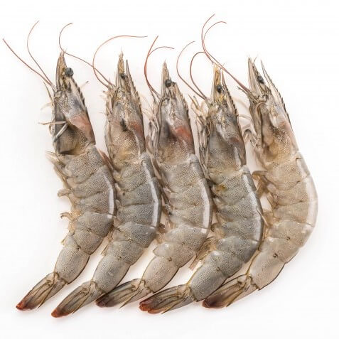 Prawns