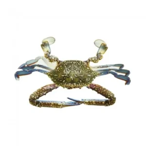 Crab